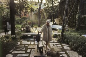 Nel cuore di una collezione. La storia di Peggy Guggenheim a Venezia