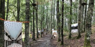 Pollino Music Festival. Mostra I Luoghi di Matera 2019, Bosco Magnano, agosto 2018. Photo Pierangelo Laterza