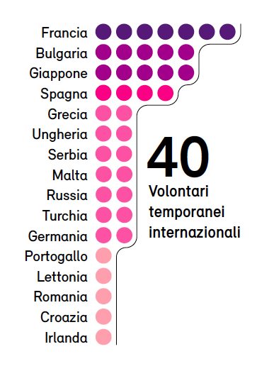 Volontari per Matera 2019. Infografica © Artribune Magazine