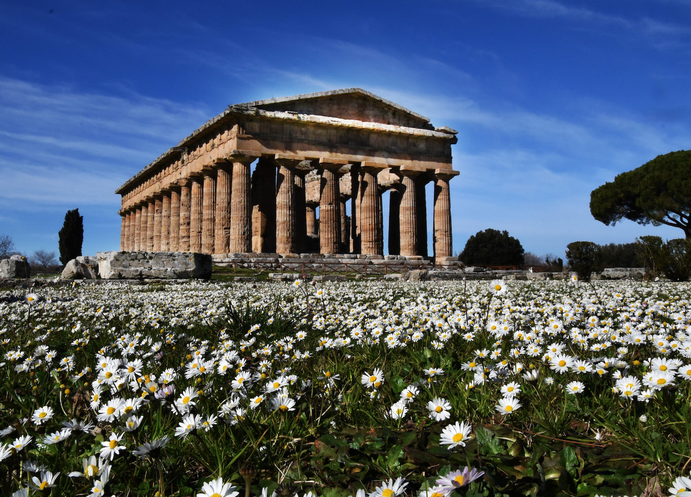 Area archeologica di Paestum (courtesy Parco Archeologico di Paestum)