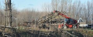 Abbattuta a Lodi la Cattedrale Vegetale di Giuliano Mauri. Storia e fine di un’opera di Land Art