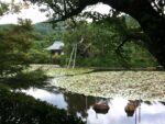 Giardini Zen a Kyoto. Photo Claudia Zanfi