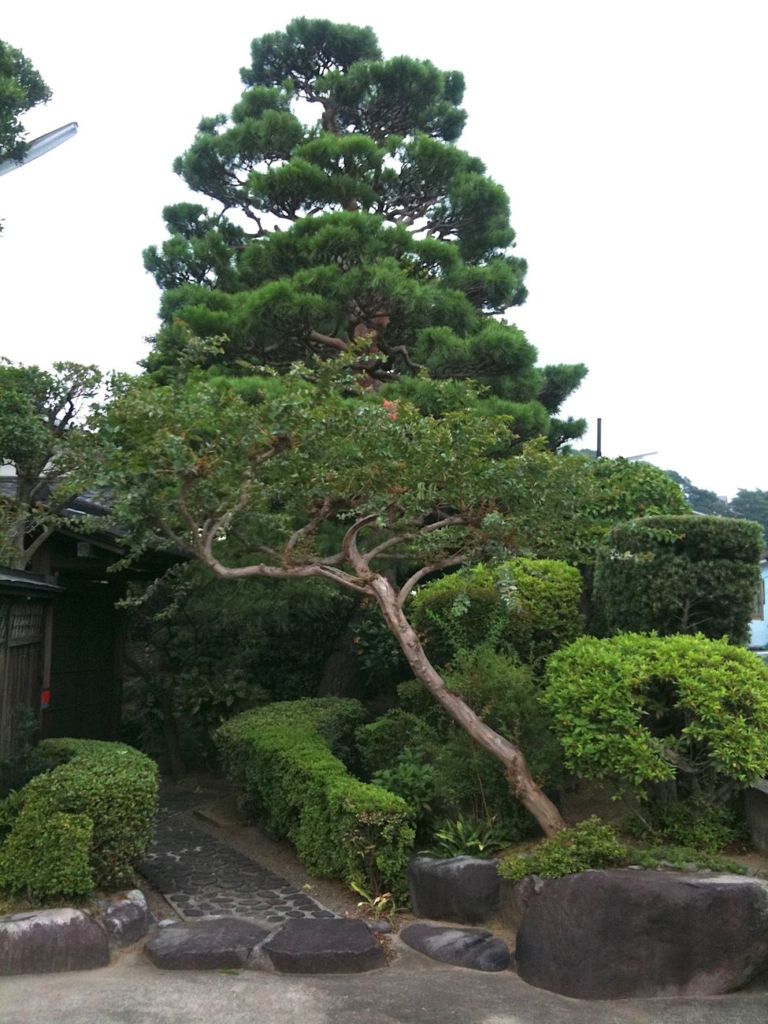 Giardini Zen a Kyoto. Photo Claudia Zanfi