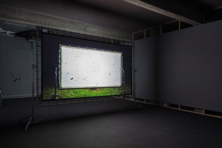 Henrik Håkansson, Blinded by the light, 2019. Installation view at Galleria Franco Noero, Torino 2019