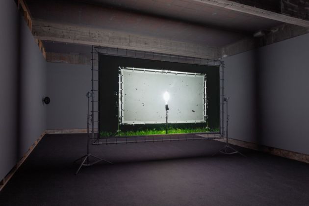 Henrik Håkansson, Blinded by the light, 2019. Installation view at Galleria Franco Noero, Torino 2019