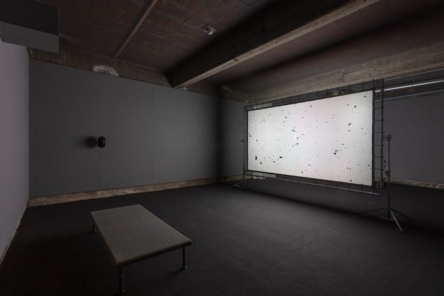 Henrik Håkansson, Blinded by the light, 2019. Installation view at Galleria Franco Noero, Torino 2019
