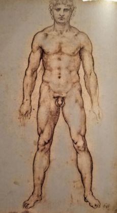 Leonardo da Vinci, Disegno anatomico. The Royal Collection, HM Queen Elizabeth II, Windsor