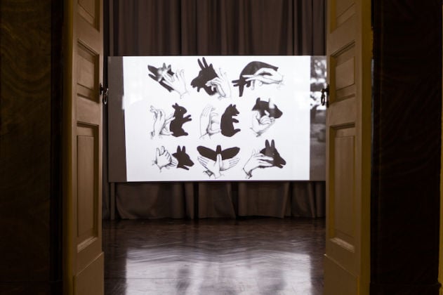 Lina Selander. Diagrams of Transfer. Exhibition view at Galleria Tiziana Di Caro, Napoli 2019. Photo Danilo Donzelli. Courtesy the artist & Galleria Tiziana Di Caro