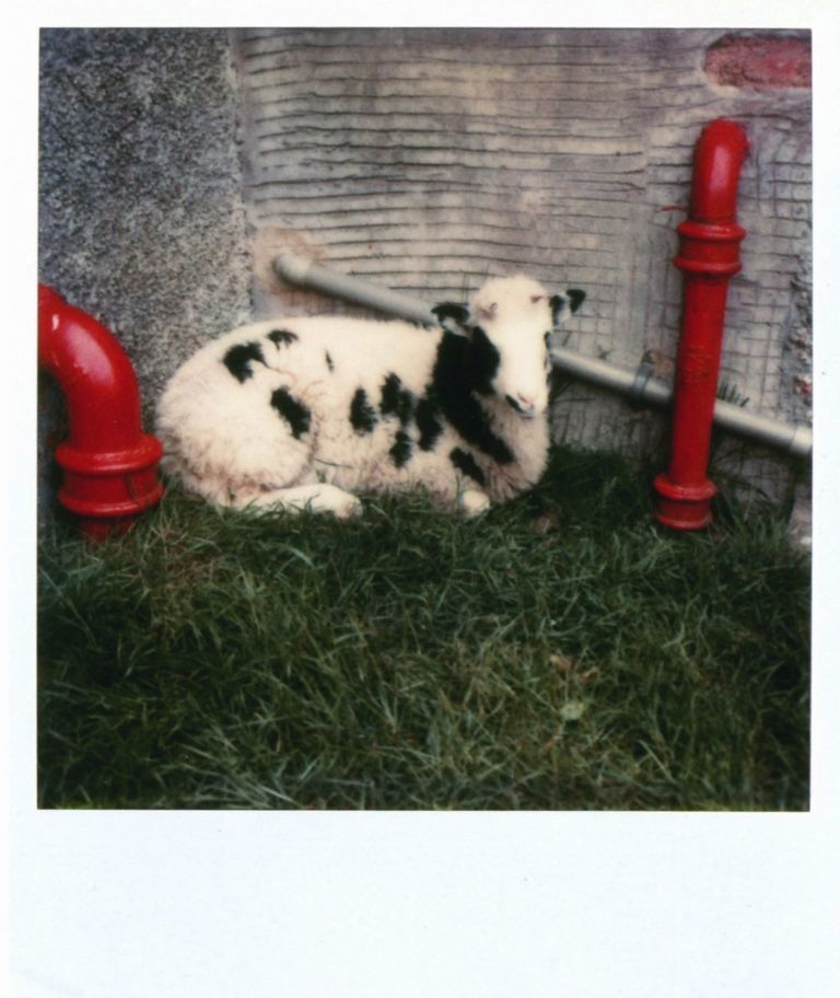 Linda McCartney, Campbeltown, Scotland, 1970s