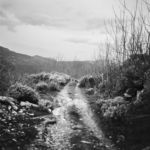 Luca Spano, Untitled #10, Osini, Sardegna, 2013