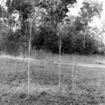 Luca Spano, Untitled #14, Bunnari, Sardegna, 2014