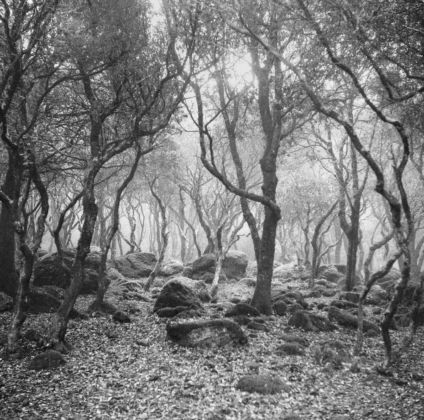 Luca Spano, Untitled #15, Monte Arci, Sardegna, 2017
