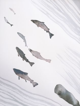 Nicola Magrin, illustrazione per Una balena va in montagna di Ester Armanino, acquarello su carta, cm 38x28