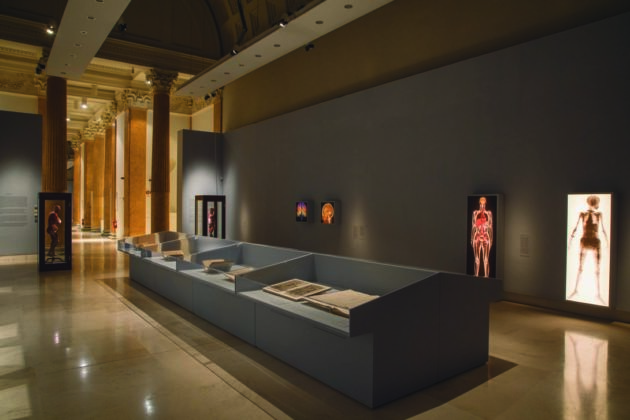 Sublimi Anatomie , Palazzo delle Esposizioni Roma. Photo Monkeys Video Lab