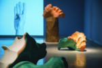 Sublimi Anatomie , Palazzo delle Esposizioni Roma. Photo Monkeys Video LabSublimi Anatomie , Palazzo delle Esposizioni Roma. Photo Monkeys Video Lab