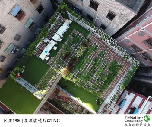 UABB ‒ Urbanism and Architecture Bi City Biennale of Hong Kong and Shenzhen 2019. Green the City Sky – The Nature Conservancy – Shenzhen Conservation Program
