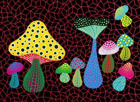 Yayoi Kusama, Mushrooms, 2005. Courtesy of Mucciaccia Gallery