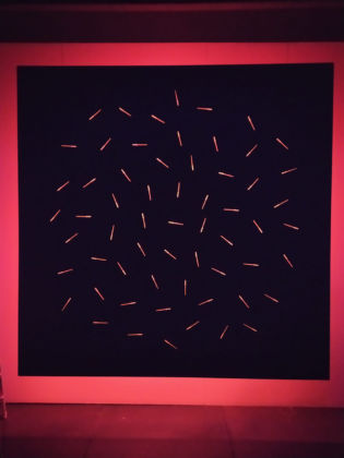 Alessandro Lupi, Albero, 2019, particolare, dalla serie Ombre (2014 2019) _ detail, from Shadows series.