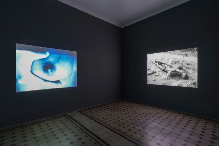 Ana Mendieta, Source, 2019. Installation view at Galleria Raffaella Cortese, Milano 2019. Photo Lorenzo Palmieri