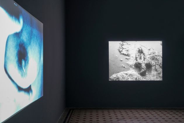 Ana Mendieta, Source, 2019. Installation view at Galleria Raffaella Cortese, Milano 2019. Photo Lorenzo Palmieri