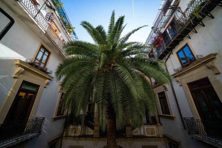 MEC Museum, Palermo