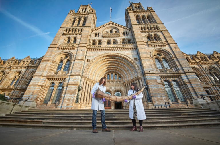 Erumpent Image at Natural History Museum Credit Lucie Goodayle