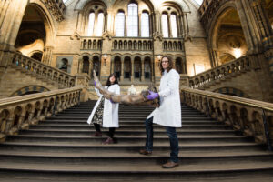 Tutta la magia di Harry Potter e degli Animali Fantastici in una grande mostra a Londra