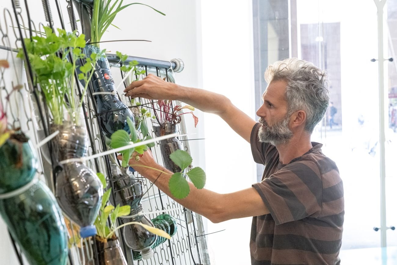 Eugenio Tibaldi, Giardino abusivo [Fase I], 2019, installation at Museo del Novecento, Milano. Photo © Umberto Armiraglia