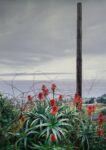 George Tatge, Aloe con palo, Imperia, 2013