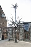 Giuseppe Penone, Identità, 2017. Photo Antonio Maniscalco. Courtesy Castello di Rivoli