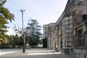 Giuseppe Penone, artista dell’Antropocene