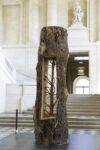 Giuseppe Penone Albero Porta - Cedro/Door Tree - Cedar, 2012 Cedar 316 x 105 x 105 cm © Archivio Penone 2020 Courtesy the artist, Gagosian, Rome and Marian Goodman Gallery, London