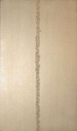 Giuseppe Tubi, Autoritratto DNA (a Barnett Newman) II, 2008 18. Courtesy Galleria del Mascherino