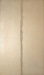 Giuseppe Tubi, Autoritratto DNA (a Barnett Newman) II, 2008 18. Courtesy Galleria del Mascherino