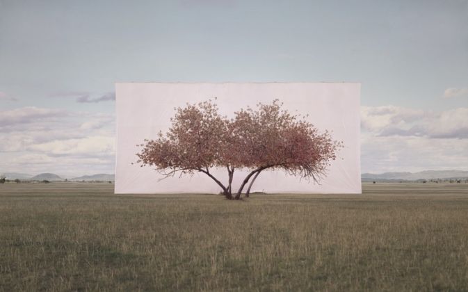 Myoung Ho Lee Tree... #2, 2012 Ink on Paper 104 x 152 cm © the artist 2020 Courtesy Myoung Ho Lee and Gallery Hyundai