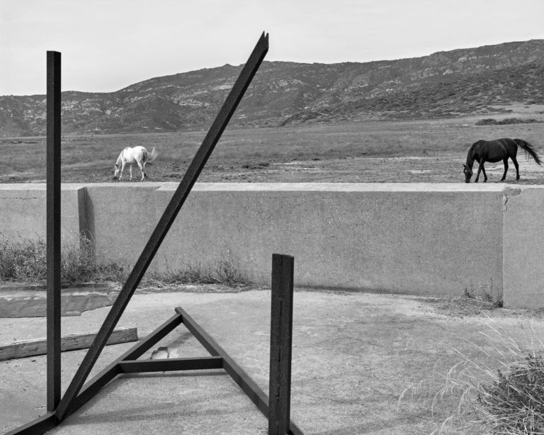 Pino Musi, Asinara