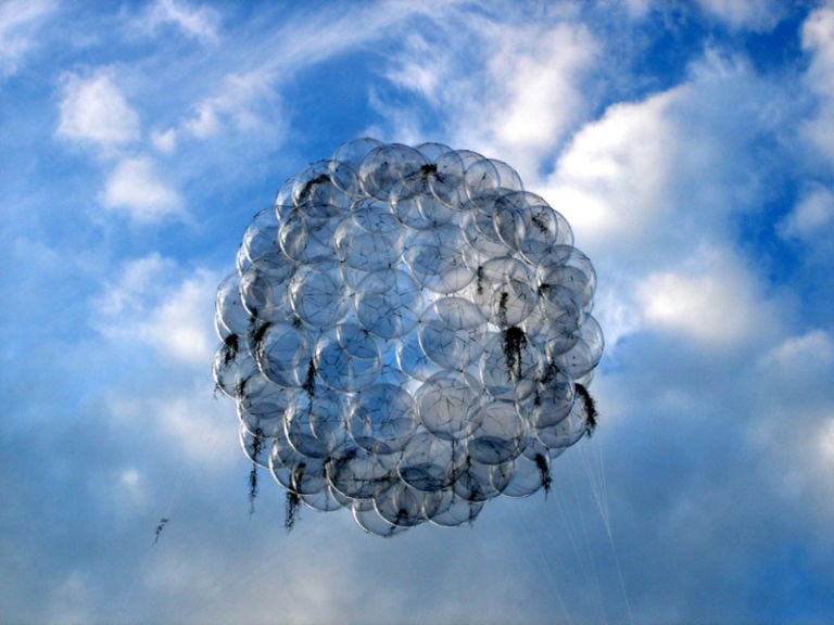 Tomas Saraceno, Se 60 Flying Garden, 2006, Collezione Agiverona