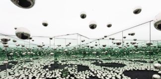 Yayoi Kusama, Infinity Mirrored Room – Let’s Survive Forever, 2017. Photo credit Chi Lam. Courtesy Rubell Museum