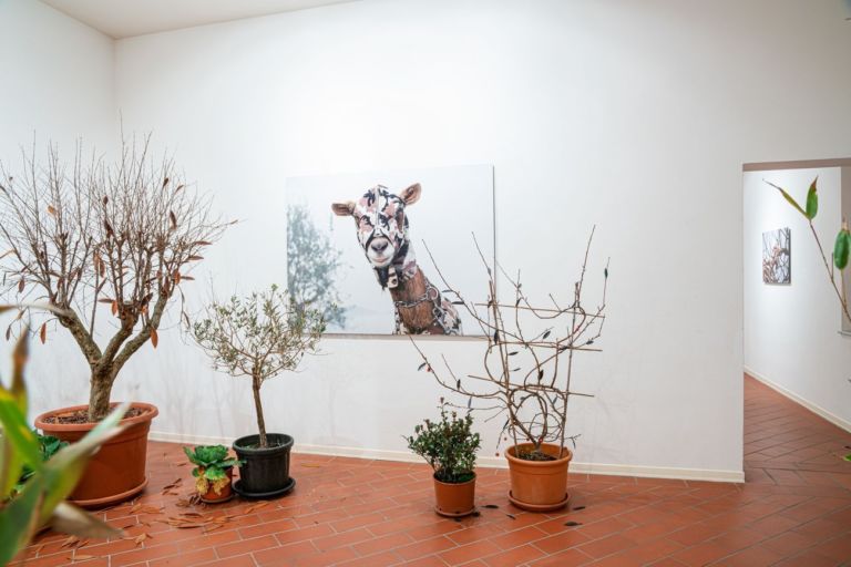 Zhanna Kadyrova Animalier per Arte impresa territorio. Exhibition view at Villa Pacchiani, Santa Croce sull’Arno 2019. Photo Nataliia Dyachenko e Denys Ruban