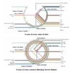 Paragone tra gli schemi esplicativi dell'organizzazione infrastrutturale del nodo di Roma, attuale e dopo l'intervento Mending Termini Station. Università degli studi Roma Tre. Laurea Magistrale in Progettazione Architettonica. Relatore: Mario Cerasoli. Autori: Arturo Becchetti e Fabrizio Felici