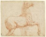 Cavallo dell’antico gruppo dei Dioscuri sul colle del Quirinale pietra rossa, penna e inchiostro / red chalck, pen and ink Washington, D.C., National Gallery of Art © National Gallery of Art, Washington
