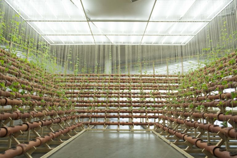 Solo show by Ximena Garrido-Lecca, installation view, 34th Bienal de São Paulo © Levi Fanan / Fundação Bienal de São Paulo