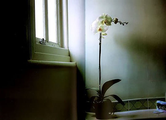 Nan Goldin, Orchidea, 2000, Foto 76,2 x 101,6, courtesy IMAGO Art Gallery.