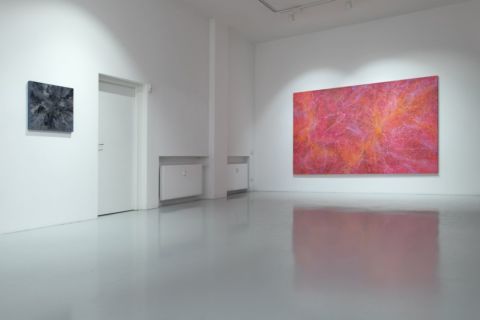 Alberto Di Fabio. Paesaggi della mente. Exhibition view at Luca Tommasi, Milano 2020