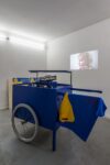Anna Raimondo, Fronte Nazionale Naso Partenopeo, 2020, installation view at AlbumArte, Roma 2020. Photo Sebastiano Luciano. Courtesy AlbumArte