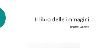 Bianco-Valente - Il libro delle immagini (Postmediabooks, Milano 2020)