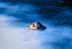 Claudia Andujar, The young Susi Korihana thëri swimming, Catrimani, Roraima, 1972 74