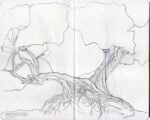Edoardo Fontana, Grande albero di ginepro, dune di Sant’Acqua Pudexia, 2005. Grafite su carta. Courtesy l’artista