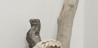 Edoardo Manzoni, Senza Titolo (Trap), 2020, dettaglio, pelliccia, rami, pasta di legno e grillz. Courtesy the artist and State Of. Photo credits Francesco Spallacci
