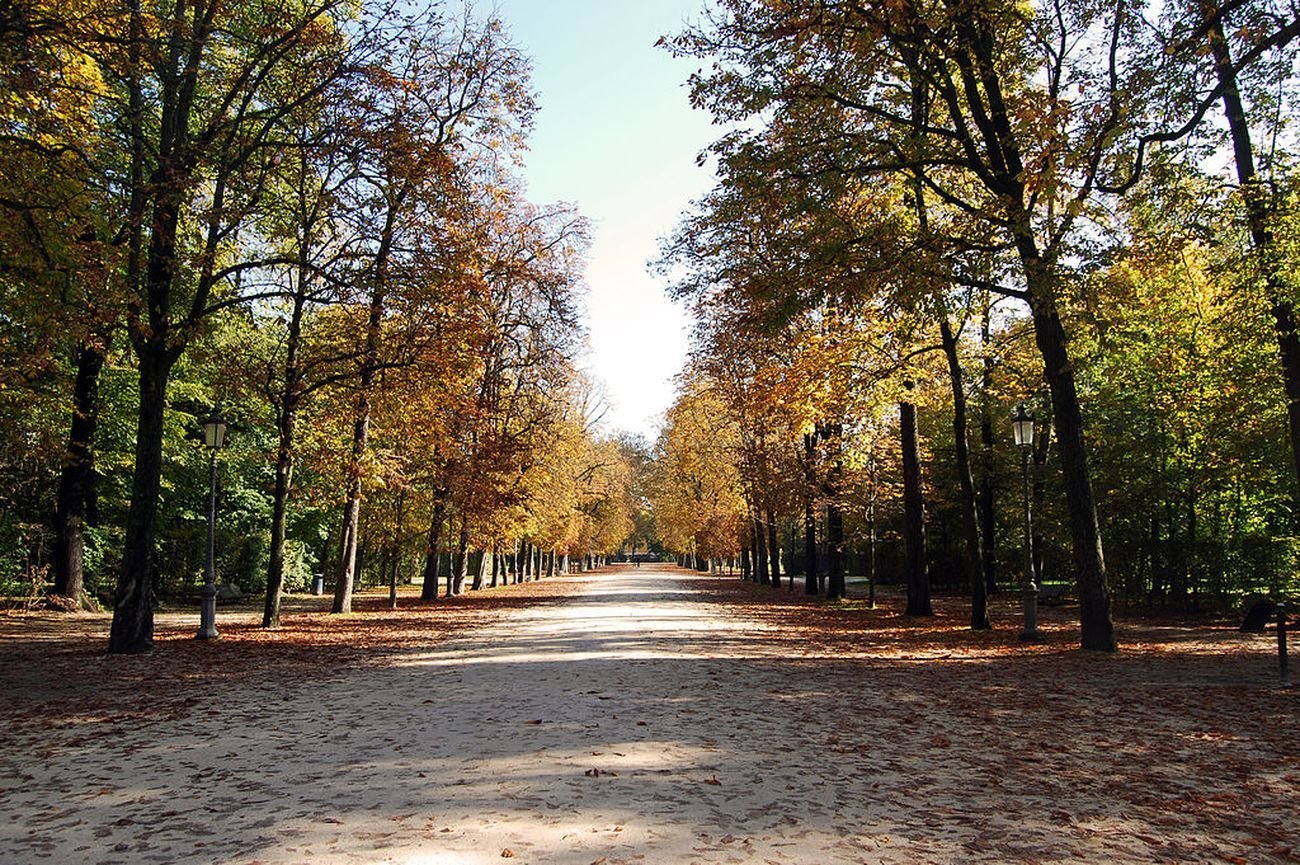 Il viale centrale del Parco Ducale di Parma in autunno